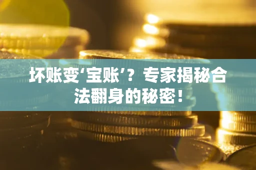 北京坏账变‘宝账’？专家揭秘合法翻身的秘密！
