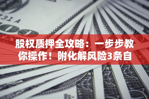 北京股权质押全攻略：一步步教你操作！附化解风险3条自救法则