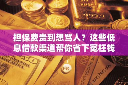 北京担保费贵到想骂人？这些低息借款渠道帮你省下冤枉钱