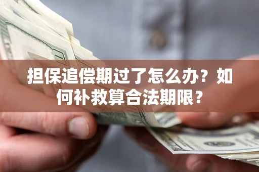 北京担保追偿期过了怎么办？如何补救算合法期限？
