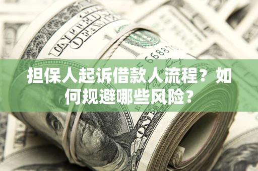北京担保人起诉借款人流程？如何规避哪些风险？