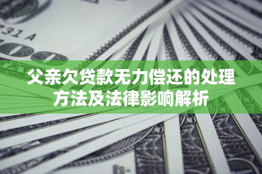 北京父亲欠贷款无力偿还的处理方法及法律影响解析