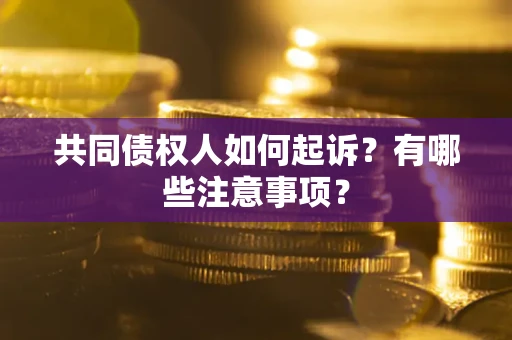 北京共同债权人如何起诉？有哪些注意事项？